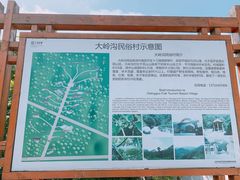 -大岭沟猕猴桃谷风景区