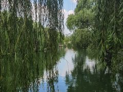 -济南大明湖景区