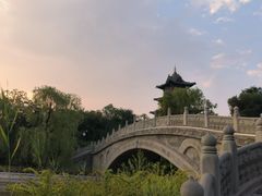 -迎泽公园