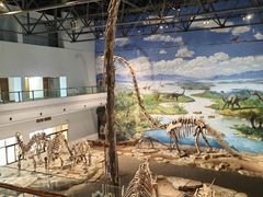 -自贡恐龙博物馆