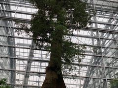 -南山植物园