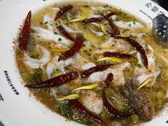 -渔语鱼新川菜Bistro(万象天地店)