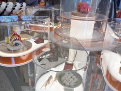 -北京稻香村(零号店)