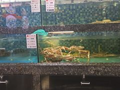 -宝燕壹号(徐汇店)