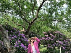 -名花谷生态庄园