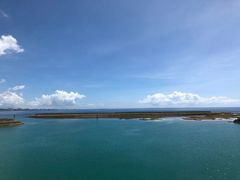 -蒸気海鮮
