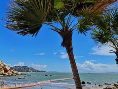 -那琴半岛地质海洋公园