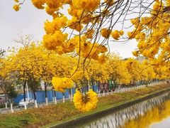 -万江图书馆
