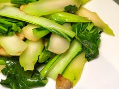生炒迟菜心-花城苑广府菜(侨鑫店)