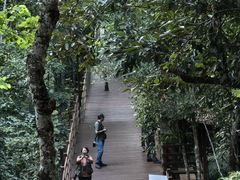 -野象谷景区