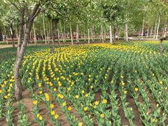 -长春公园(普阳街道)