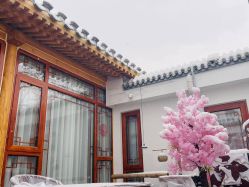 -Nora阿育吠陀·瑜伽·整体疗愈苑