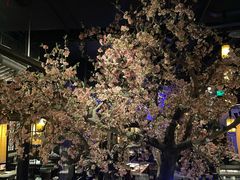 -绿茶餐厅(朝阳大悦城店)