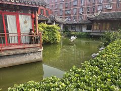 -月坛宾馆-聚仙楼餐厅