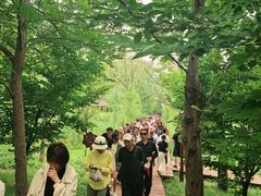 -滕州微山湖红荷湿地景区