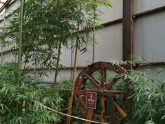 -北京呀路古热带植物园