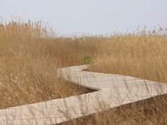 -野鸭湖国家湿地公园