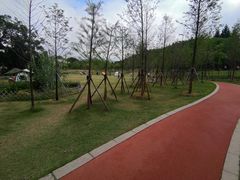 -牛岗山公园