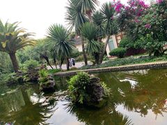 -官房大酒店•驼峰自助餐厅