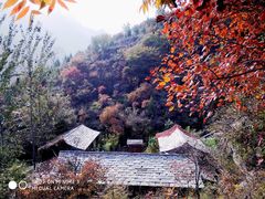 -周口店坡峰岭风景区