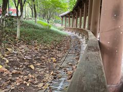 -重庆彩云湖湿地公园