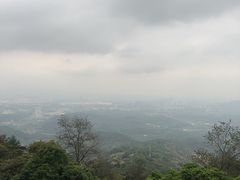 -黄埔油麻山森林公园