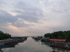 -盐洲岛