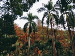 -深圳国际园林花卉博览园