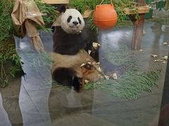 -无锡动物园·太湖欢乐园