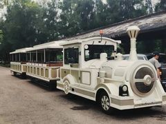 -漩门湾国家湿地公园