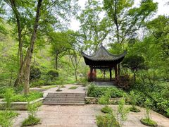 -南京老山国家森林公园