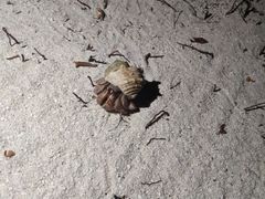 -邢家锅贴老店·非遗·开封菜(金明广场店)