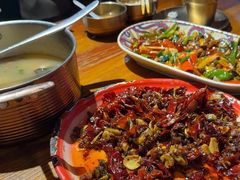 -柴窝堡22号辣子鸡·传承新疆菜
