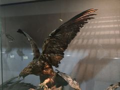 -烟台自然博物馆