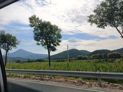 -泰州凤城河风景区-泰山公园