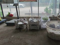 -马陆小张葡萄园农家乐