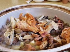 -东巴谷野生菌火锅餐厅