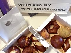 -WHEN PIGS FLY当猪飞