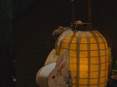 -毛辣果·酸(OHA复兴西路店)