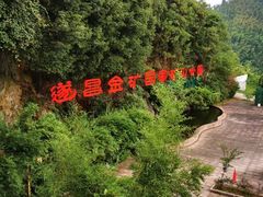 -遂昌金矿国家矿山公园