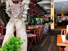 -卷心菜和避孕套餐厅(Pattaya)