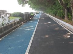 -大湾区中央湿地公园