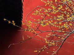 -钱王祠