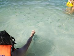 -班拉雅潜水度假村