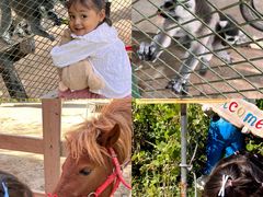 -水上乐园·欢乐世界