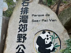 -石排湾郊野公园