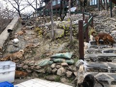 -北京水岸山吧度假村(雁栖镇店)