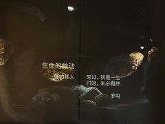 -成都许燎源现代设计艺术博物馆