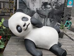 -泡桐树街