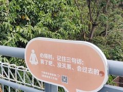 -佛山华盖山公园
